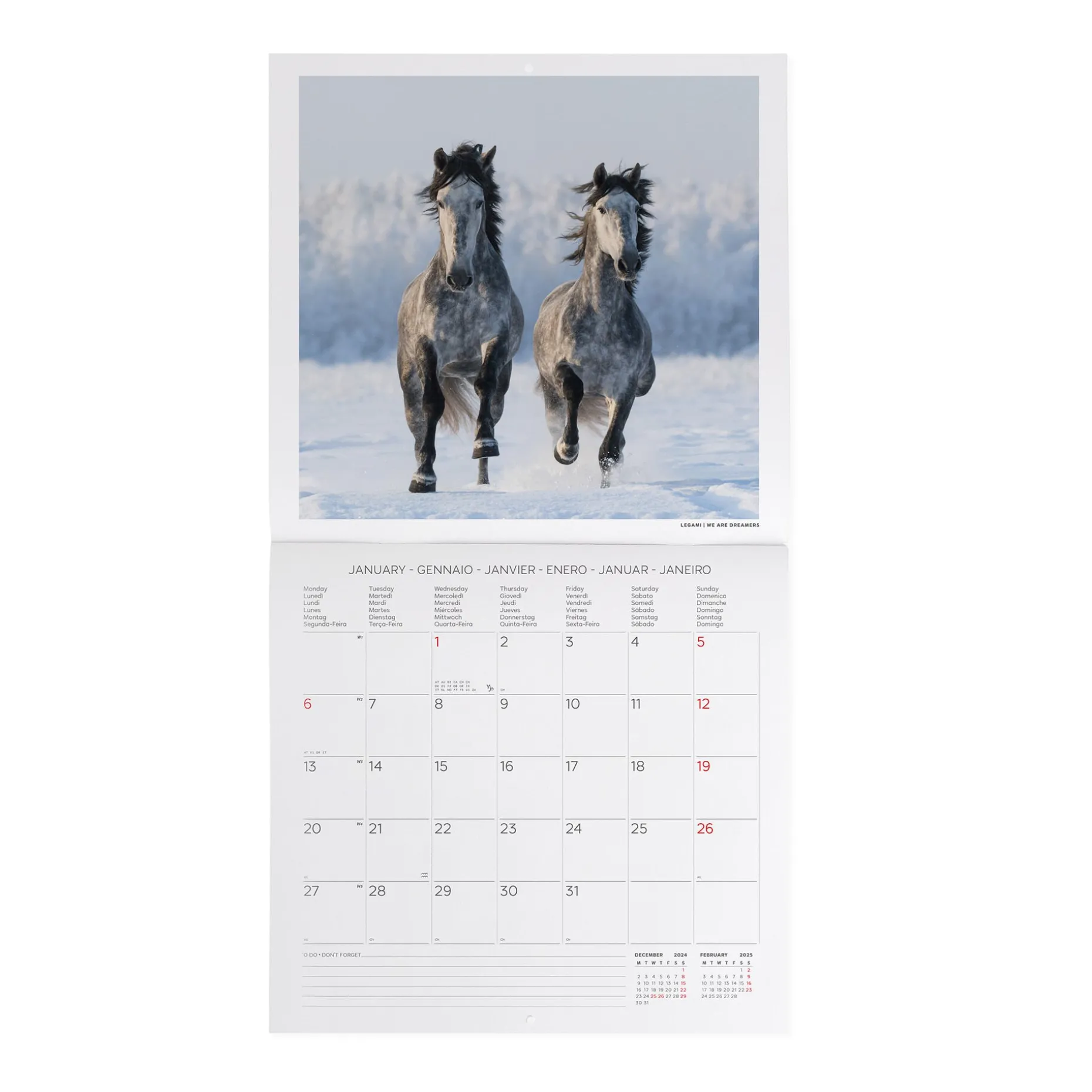 Calendario da Parete 2025 - 30 x 29 cm