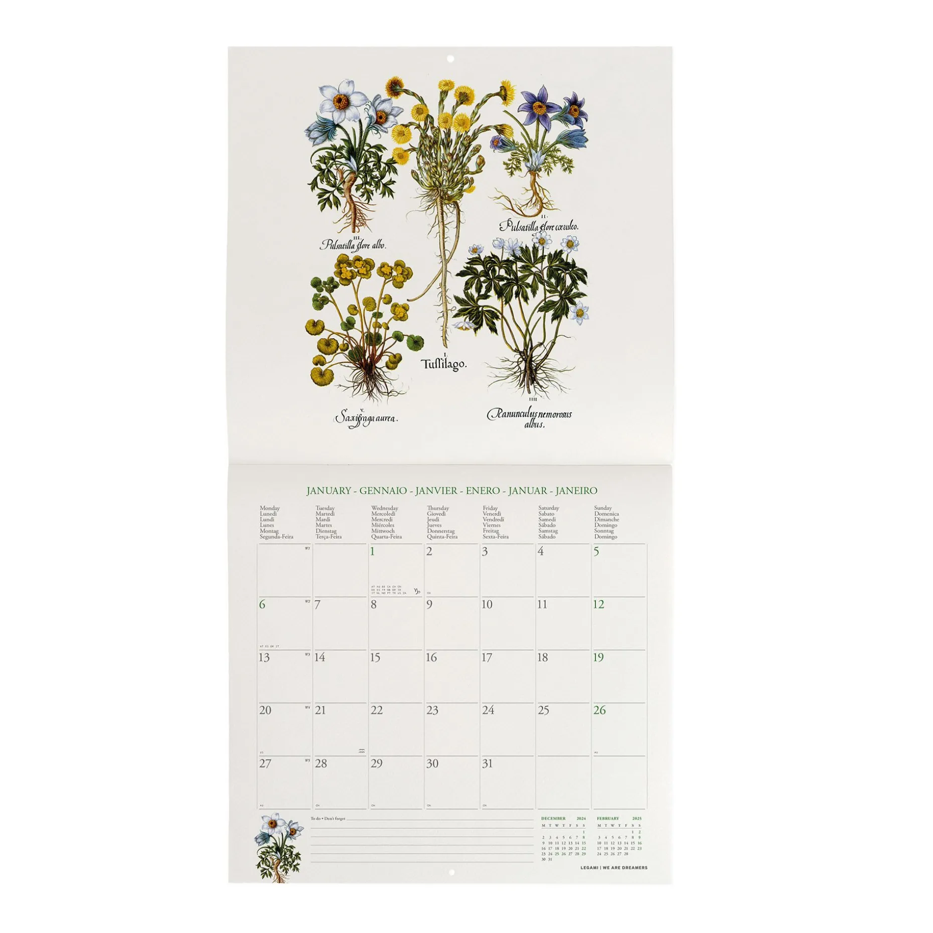 Calendario da Parete 2025 - 30 x 29 cm