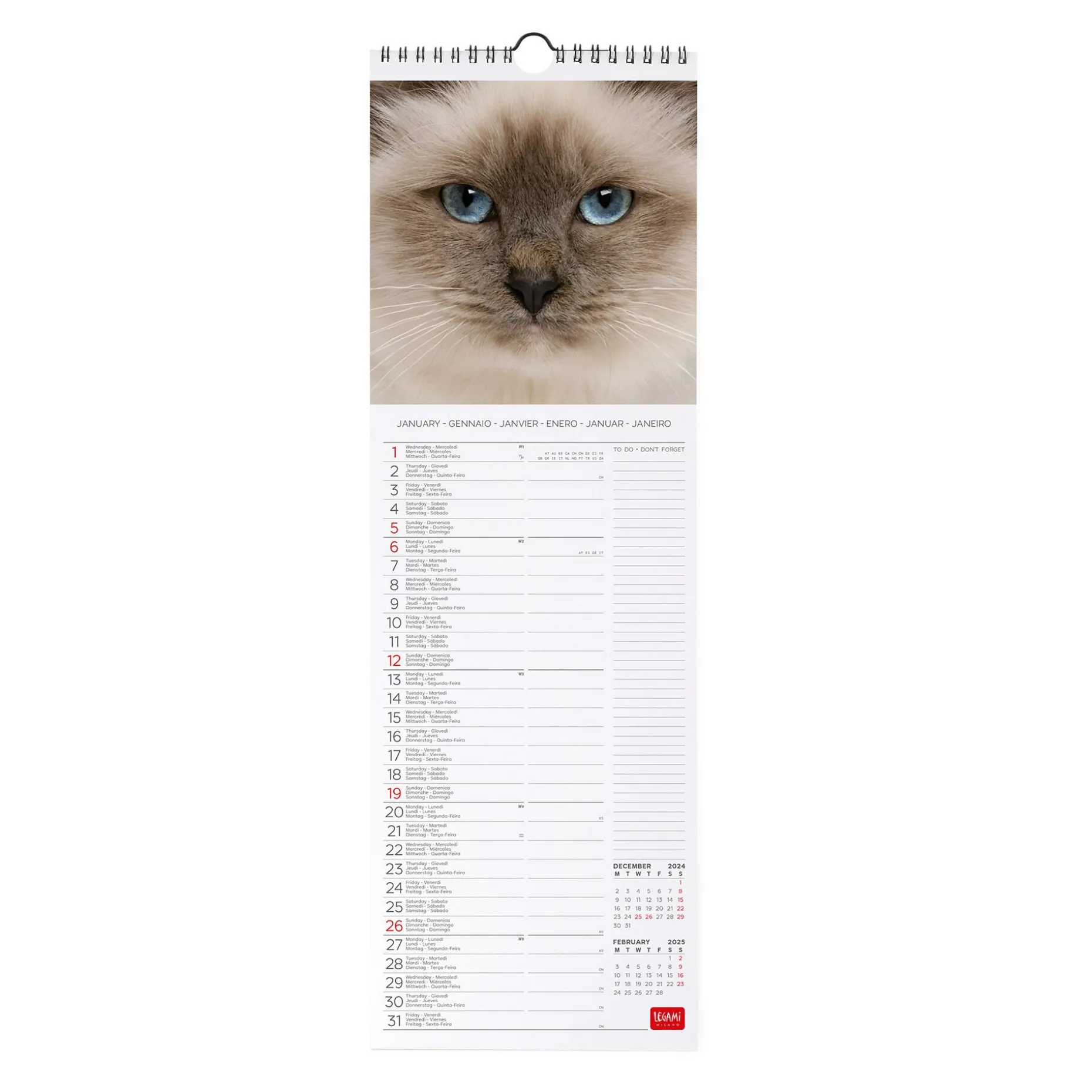 Calendario da Parete 2025 - 16 x 49 cm