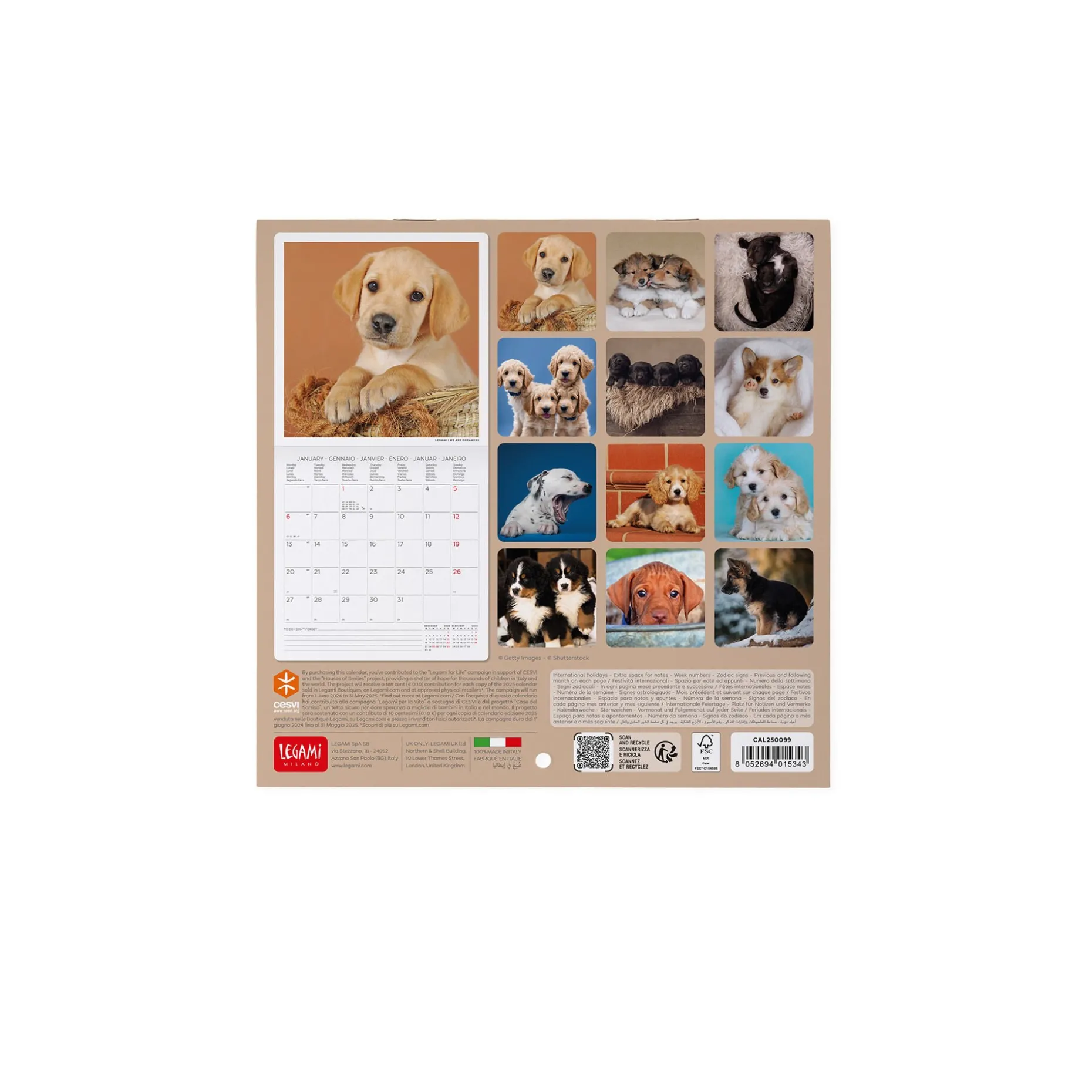 Calendario da Parete 2025 - 18 x 18 cm