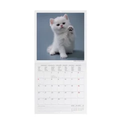 Calendario da Parete 2025 - 18 x 18 cm