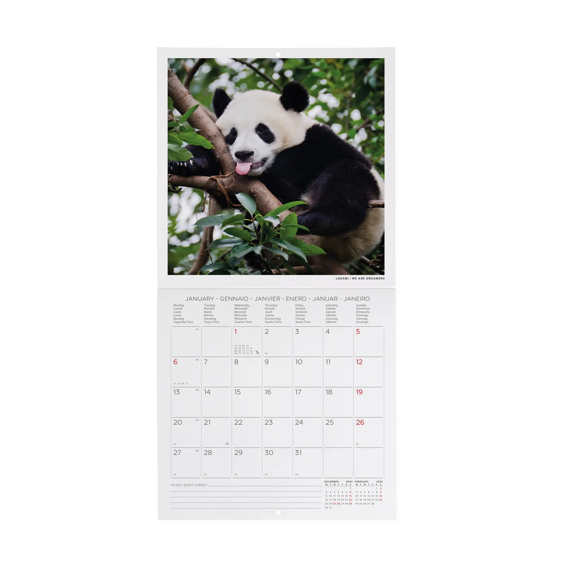 Calendario da Parete 2025 - 18 x 18 cm