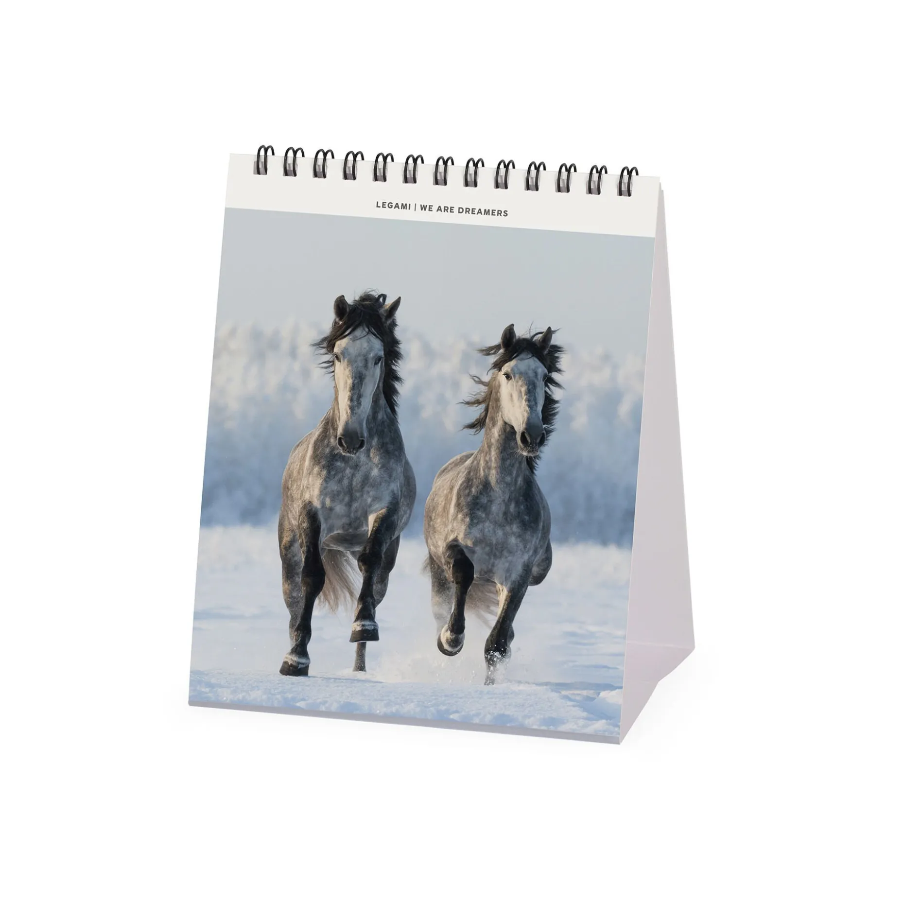 Calendario da Tavolo 2025 - 12 x 14,5 cm