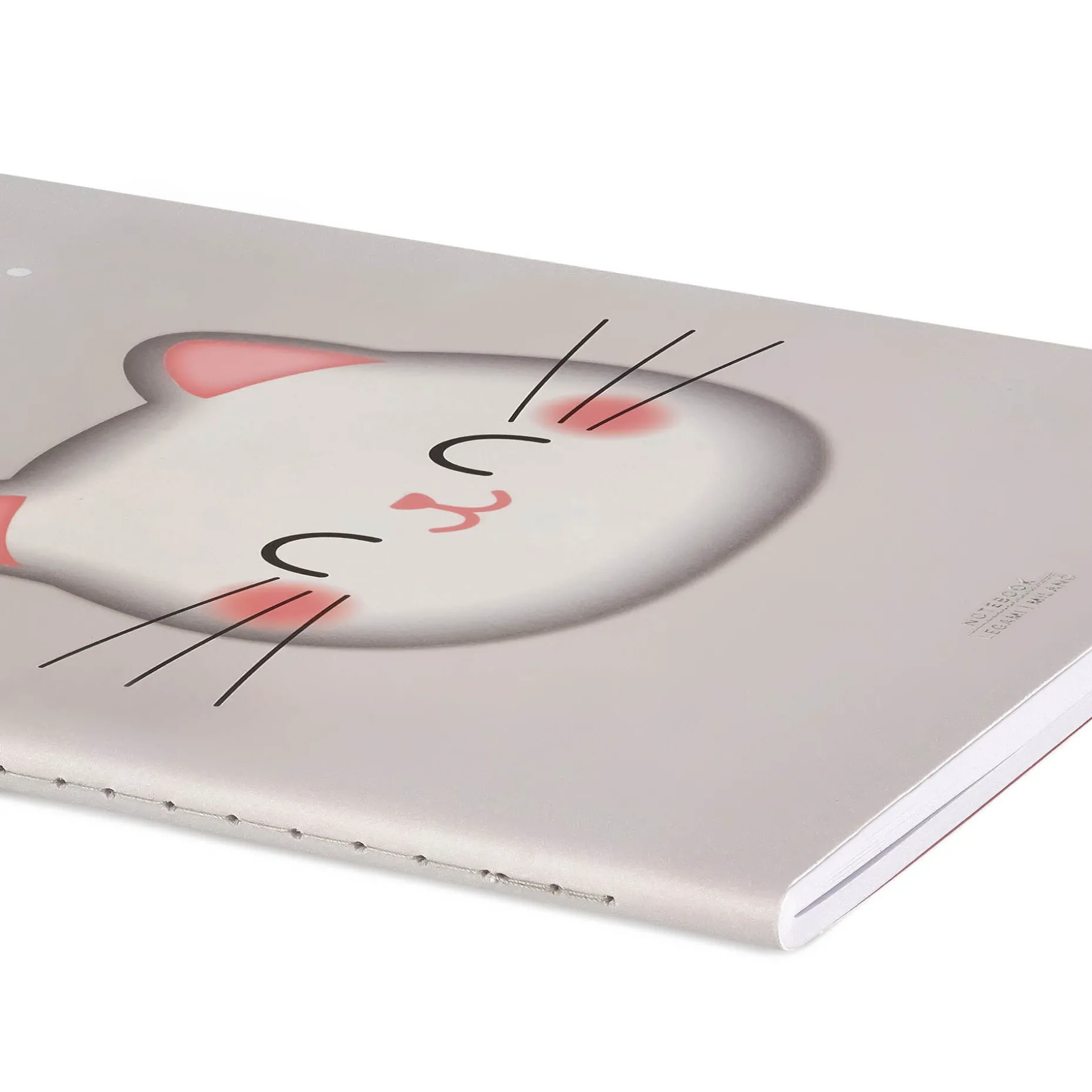Quaderno a Righe - Foglio B5